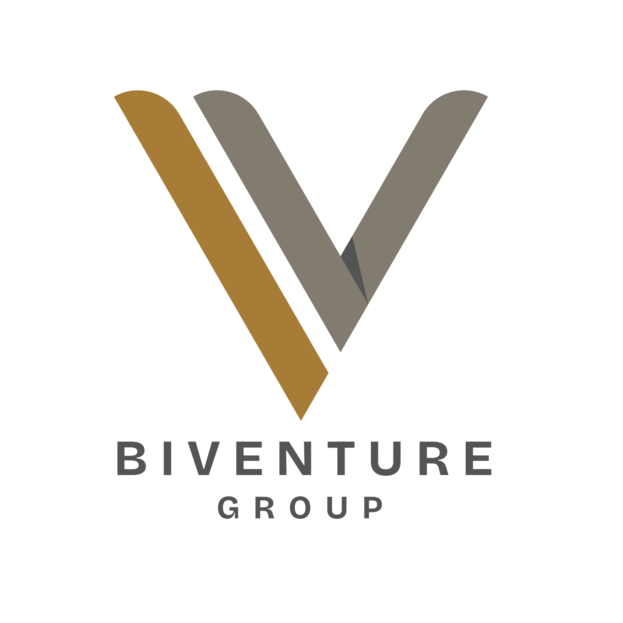 Logo Biventure